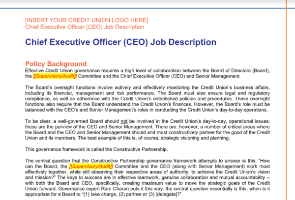 Job Description of a Chief Executive Officer (CEO)